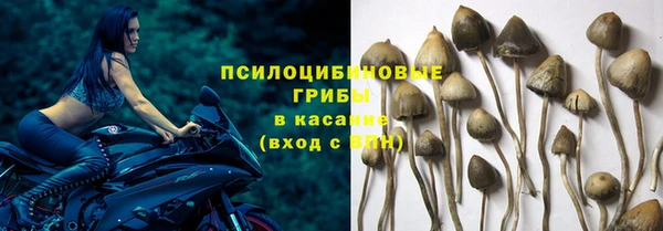 не бодяженный Абдулино