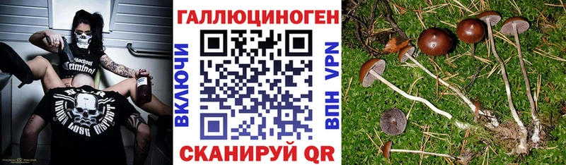 Псилоцибиновые грибы прущие грибы  Соликамск 
