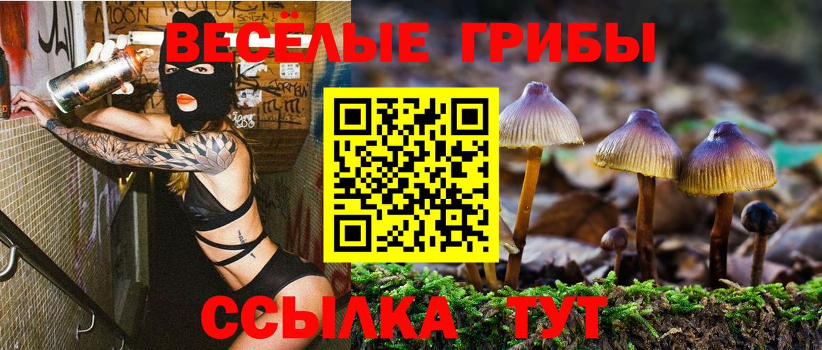 Псилоцибиновые грибы GOLDEN TEACHER  Вход с VPN  Соликамск 